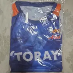 TORAY Arrows バレーボール ユニフォームシャツ　背番号100