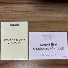 SEVENTEEN メッセージ トレカ スングァン