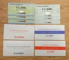 ビッグカメラ コジマ 株主優待券 6000円分