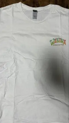 WANTMA Tシャツ Lサイズ