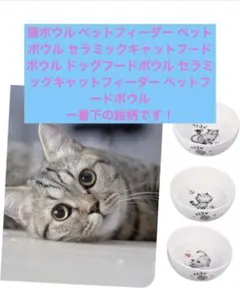猫ボウル ペットフィーダー ペットボウル セラミックキャットフードボウル