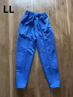 Item thumbnail for item 54b94602-ba35-4f11-9f72-498d80e5ad28