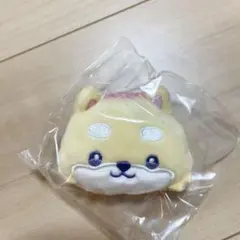 a様 リクエスト 2点 まとめ商品