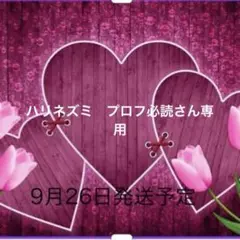 ハリネズミ　プロフ必読さん専用