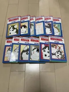 Item thumbnail for item 12508577-187d-43c3-a3f5-e7573374d73d