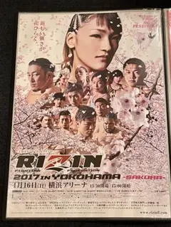 RIZIN DECADE RIZIN49 B2 ポスター 2枚セット RIZIN DECADE RIZIN49 B2 ポスター 2枚セット - メルカリ
