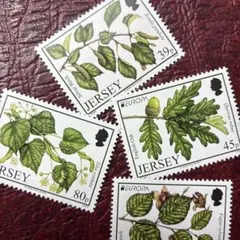 masu様 リクエスト 2点 まとめ商品