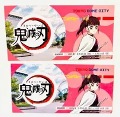 栗花落カナヲ レア チケット風カード 東京ドーム 鬼滅の刃