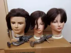REGINA.SPIROウィッグ中古