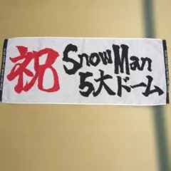 SnowManタオル