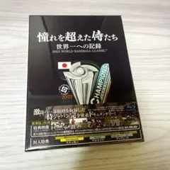 Item thumbnail for item 71bee5be-1d2d-43f1-8303-087c88c98daa