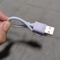 USB タイプC ケーブル ホワイト