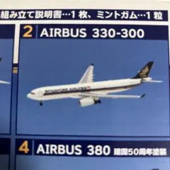 エフトイズ　世界のエアライン　シンガポール航空 AIRBUS 330-300のサムネイル