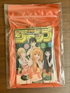 Item thumbnail for item 64792c82-495e-4f8d-a2fa-a7fd361182ef