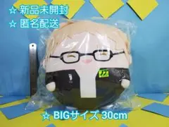 ハイキュー！！ ふわコロりんBIGスペシャル 月島蛍 烏野