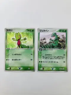 ポケモンカード　キモリ003/019 ジュカイン003/055★
