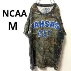 Item thumbnail for item 0071d55d-fa10-4466-a0bc-cd9ba358ab0b