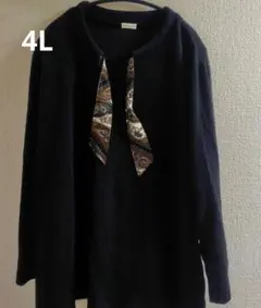 大きいサイズ4Lブラックリブ編み トップス ペイズリーリボン