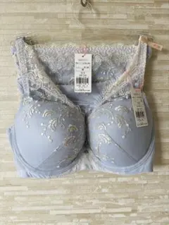 F70&M」トリンプ ホープブラ ピースフルリーフ ブラ&ショーツ