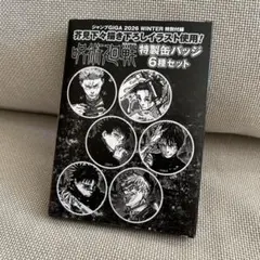 呪術廻戦 特製缶バッジ 6種セット ジャンプGIGA