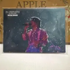 猫様 リクエスト 2点 まとめ商品