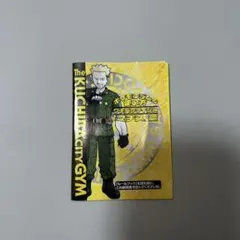 ポケモンジムの使い方　クチバシティジム(マチス篇)旧裏　ルールブック