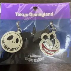 TDR ファスナーアクセサリー　ホーンテッドマンションホリデーナイトメア　未開封
