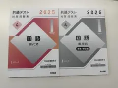 共通テスト対策問題集 国語 現代文 Iシリーズ 共テ 河合塾