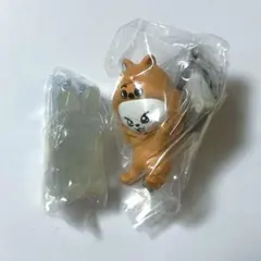 SKZOO リノセット