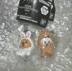 ① SKZOO ガチャ つまんでつなげてますこっとvol.2