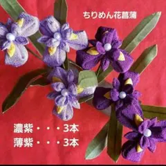 Item thumbnail for item daca5e99-a594-4412-9ecf-7085e0c2723f