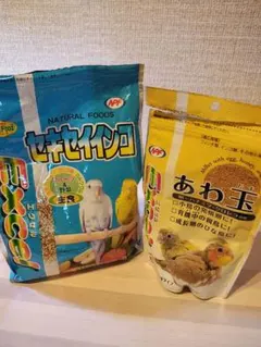 Item thumbnail for item 86c64b6f-4fcf-45c5-8894-c9d206f951d1