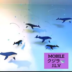 ＊ クジラ ６頭 ＊ モビール