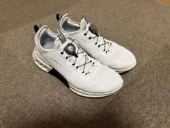 2025年最新】ecco シューズ(男性用)の人気アイテム - メルカリ