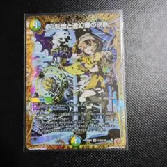 パーフェクトアドベンチャー シークレット プレイ用 - メルカリ