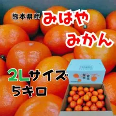熊本県産 みはやみかん 2Lサイズ 5キロ