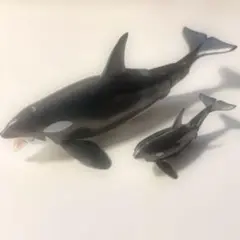 アニア あつまれ！水族館の人気者(シャチ)
