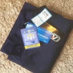 Item thumbnail for item e58b2928-e07f-4aef-9a8e-c9d30ad7ebe6