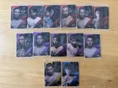 RIZINウエハース25 13枚セット