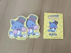 JOCHUM レイン　セット