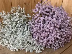 布ブーケ№1❇︎ ニュアンススターチス❇︎プレゼント❇︎メルカリ便 布ブーケ№1❇︎ ニュアンススターチス❇︎プレゼント❇︎メルカリ便