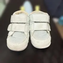 Item thumbnail for item 41eb81c0-34ed-4bc4-8304-0adf20182532