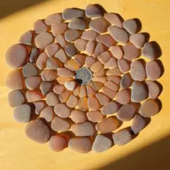 Item thumbnail for item 943f6997-81b2-4c6a-b712-98d2893968ac