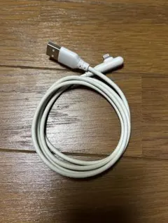 Lightning to USB-Aケーブル