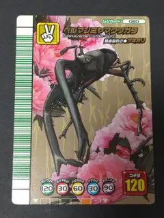 2026年最新】ムシキング5周年の人気アイテム - メルカリ