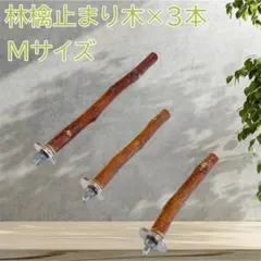 林檎止まり木（Ｍ）160のサムネイル