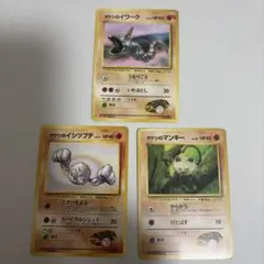 ポケモンカード旧裏 タケシのポケモン 3枚セット マンキー イシツブテ イワーク