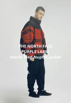 早い者勝ち美品NORTHFACEPURPLELABELダウンXS チェック