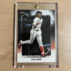 Item thumbnail for item d4cd5a13-08e7-4e8b-8a30-b8be7ef54ff2