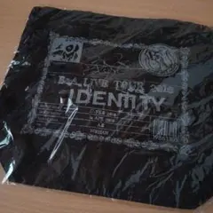 Item thumbnail for item b3c6a56b-616d-438b-b448-16d429eec3f8